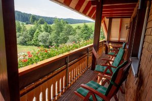 Balkon der Ferienwohnung Kamillemit Ausblick in die Natur - Josenmuehle