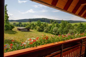 Ausblick in die Natur vom Balkon der Ferienwohnung Kamille - Josenmuehle