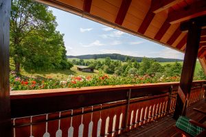 Ausblick vom Balkon der Ferienwohnung Kamille mit Blick auf unsere Esche - Josenmuehle