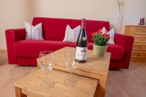 rotes Sofa mit Weingläser und Rotwein rote Blumen Nelken Wohnzimmer Ferienwohnung Ringelblume